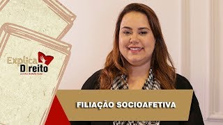 Explica Direito Filiação Socioafetiva  2019 [upl. by Ohcirej]