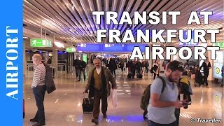 TRANSIT WALK AT FRANKFURT Airport FRA Terminal 1  Connection Flight Transfer Arriving amp Departing [upl. by Koch710]